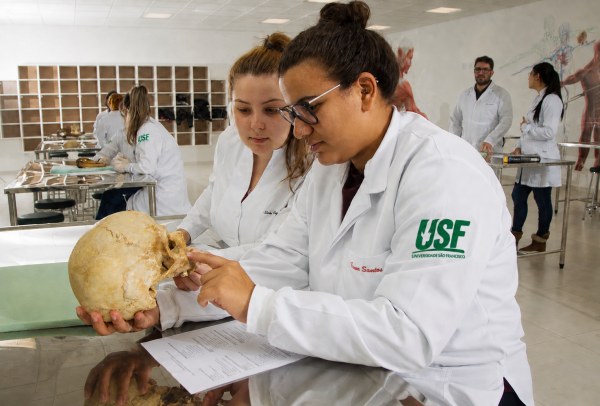 Aula prática de anatomia